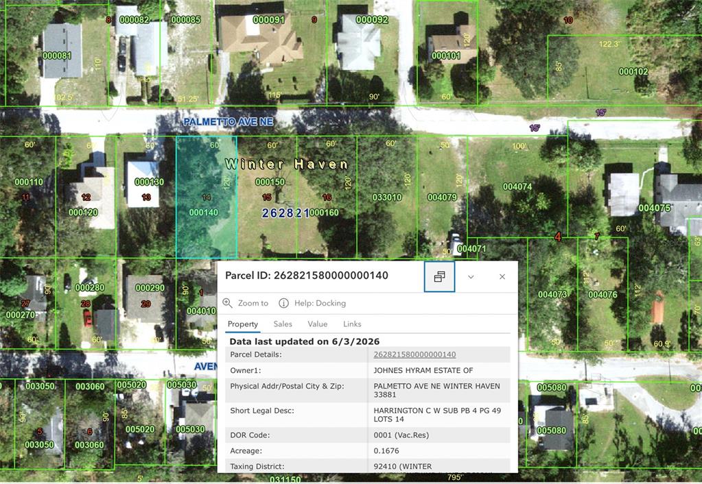 This is a digital map showing property parcel boundaries and identification numbers in Winter Haven — PALMETTO AVENUE NE, WINTER HAVEN, FL