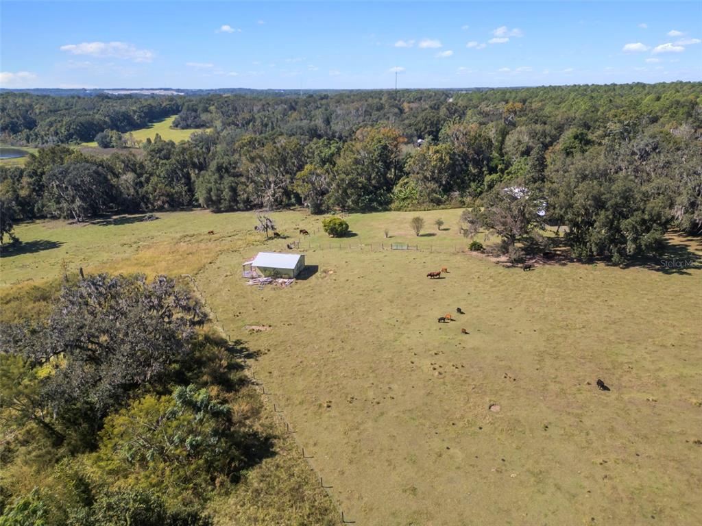 An aerial view shows a small barn in a large, fenced pasture with grazing cattle — 32854 LISTER ROAD, DADE CITY, FL
