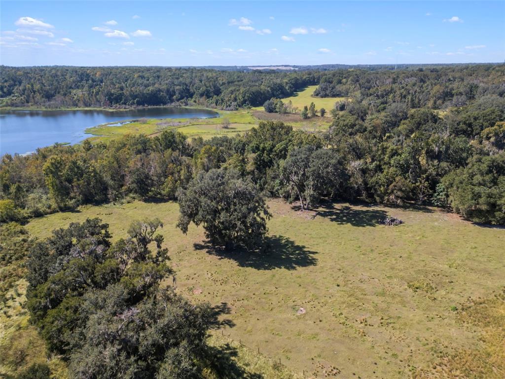 An aerial view shows a grassy pasture with large oak trees beside a lake — 32854 LISTER ROAD, DADE CITY, FL