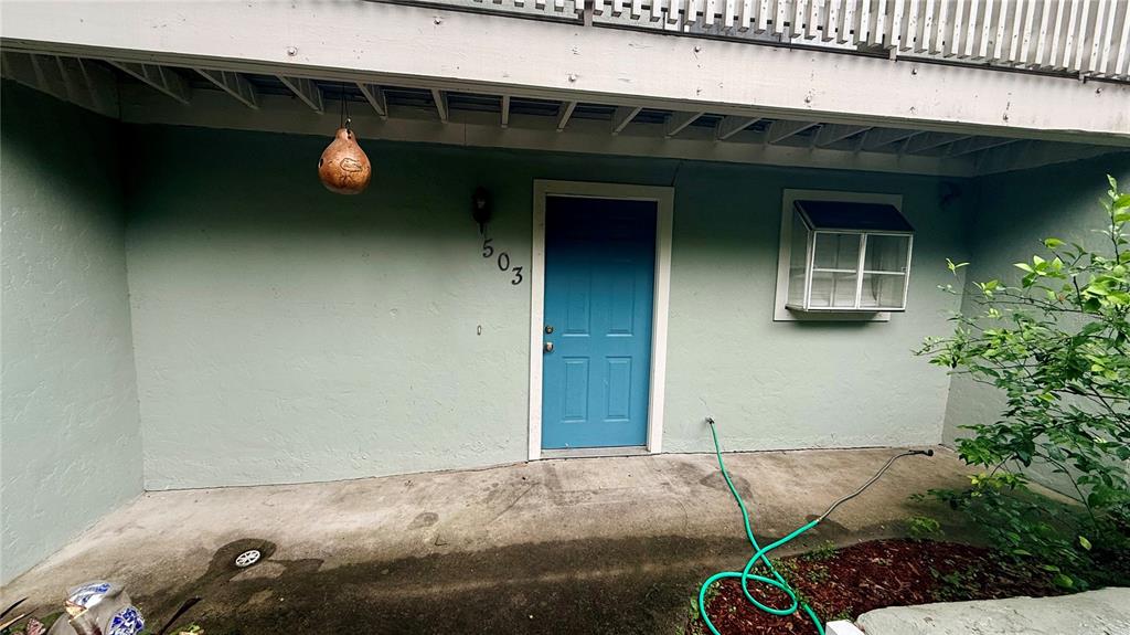 A blue front door with the number 503 is set into a light green exterior wall — 4411 SW 34TH STREET UNIT 503, GAINESVILLE, FL