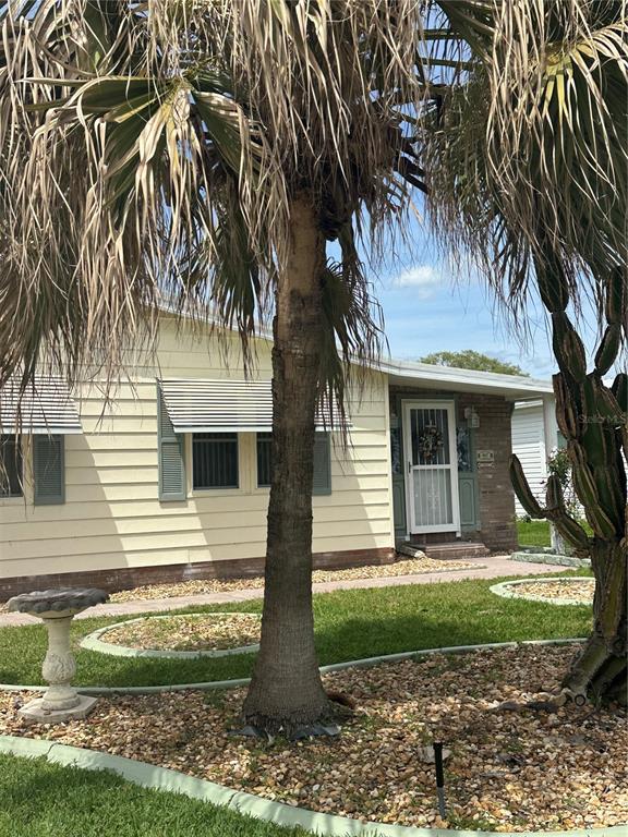 A palm tree stands in front of a light yellow house with a white door — 907 ORCHID STREET, LADY LAKE, FL