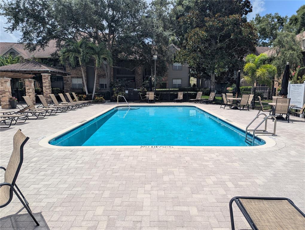 An outdoor swimming pool surrounded by lounge chairs and a paved deck at an apartment complex — 2500 WINDING CREEK BOULEVARD UNIT E208, CLEARWATER, FL