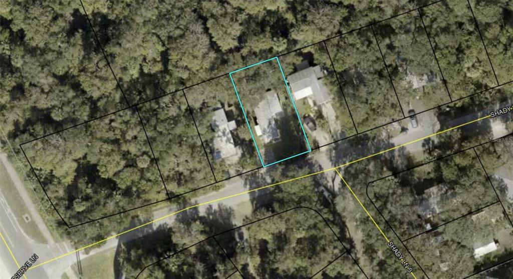 This is an aerial map view showing a residential property lot outlined in blue — 7 SHADY LANE N, PALM COAST, FL