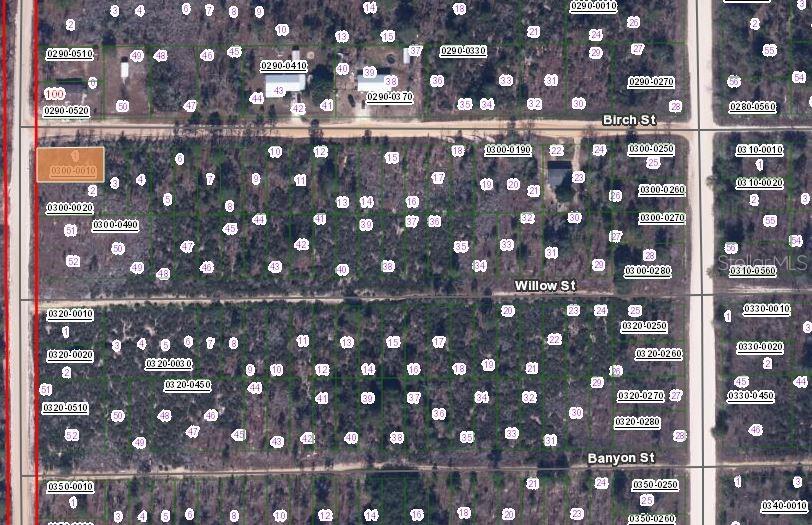 00 BIRCH STREET, INTERLACHEN, FL — photo 2 of 3