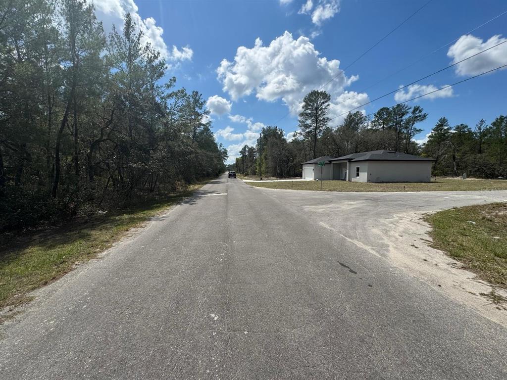 A paved road leads toward a modern single-story house situated in a wooded area — MALAUKA PASS COURSE,, OCKLAWAHA, FL