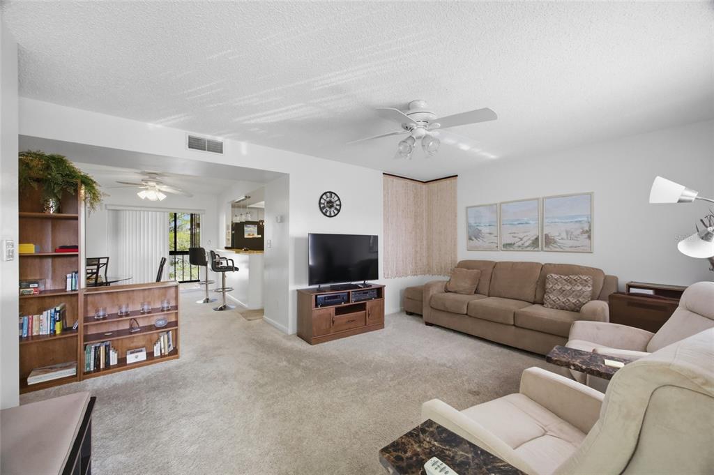 A carpeted living room features a brown sofa, television, and an adjacent dining area — 1130 N LAKE PARKER AVENUE UNIT A305, LAKELAND, FL