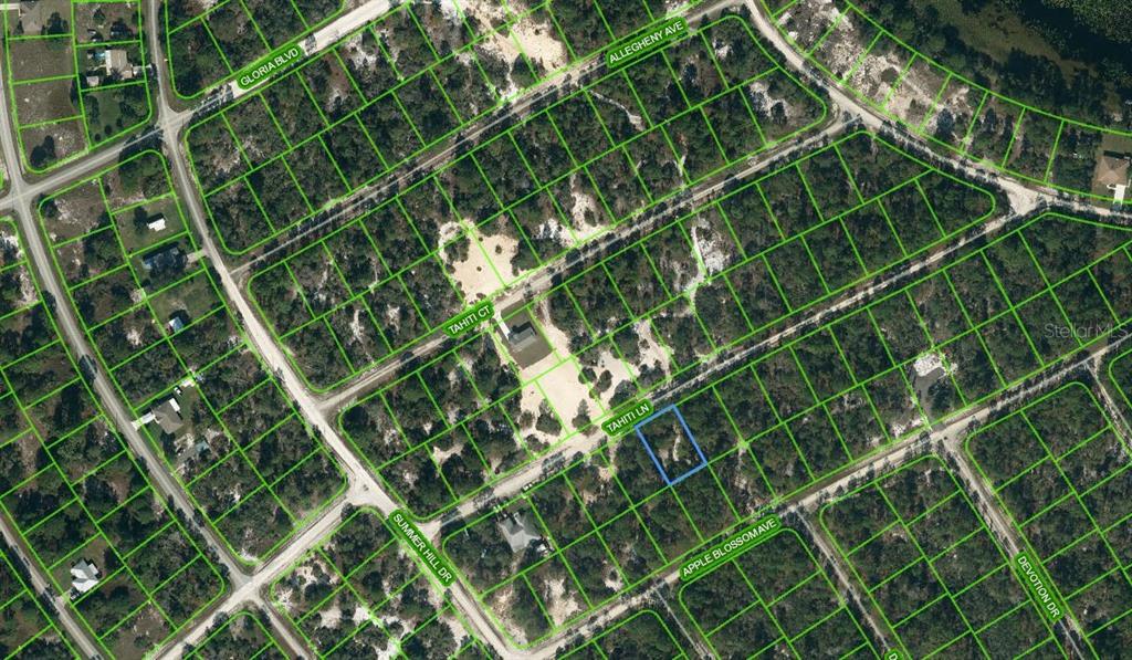 411 TAHITI LANE