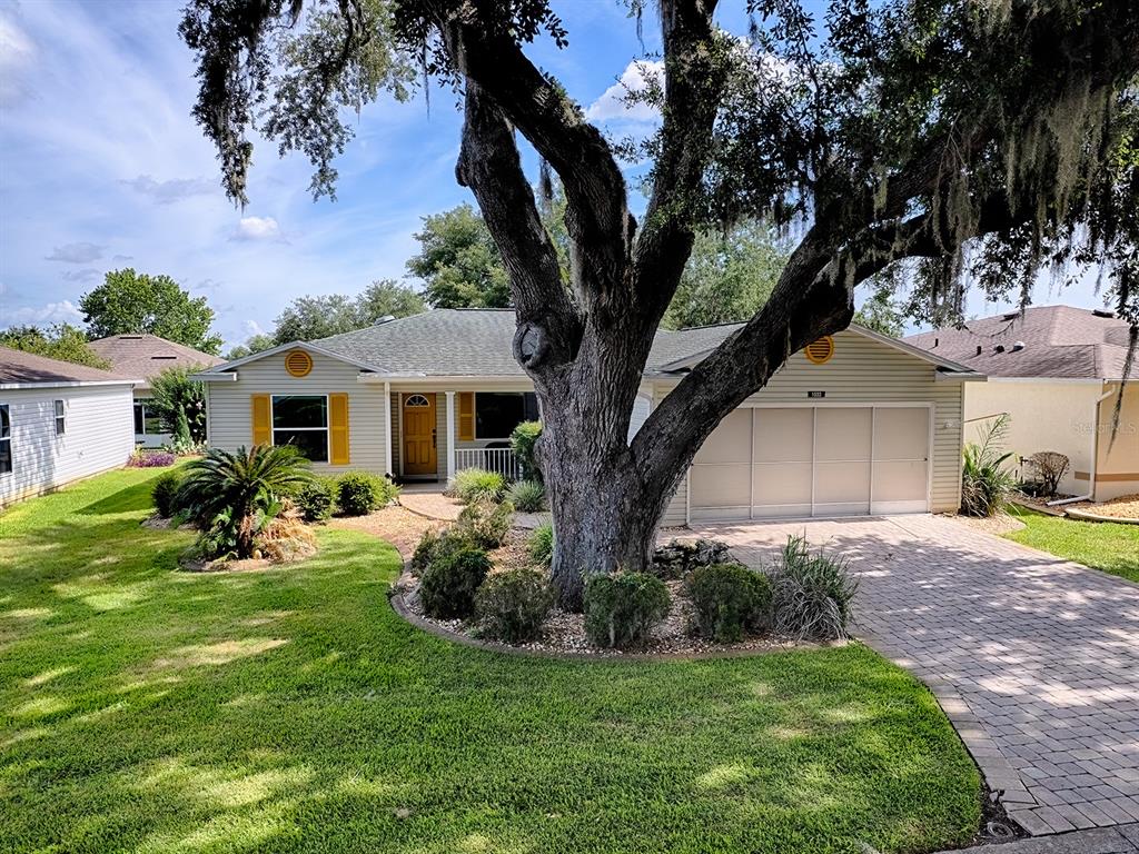 A single-story house with light siding, yellow shutters, a large oak tree, and a paved driveway — 1033 MEADOWBEND DRIVE, LEESBURG, FL