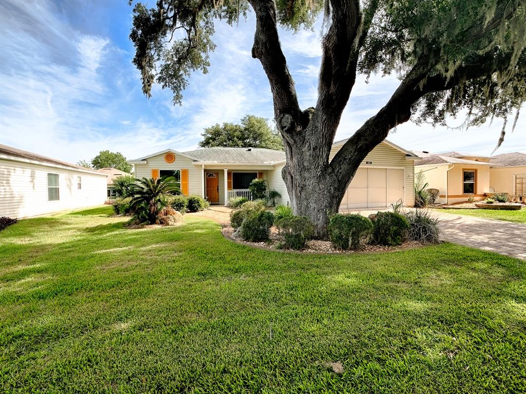 A single-story house with light siding features a large oak tree in the front yard — 1033 MEADOWBEND DRIVE, LEESBURG, FL
