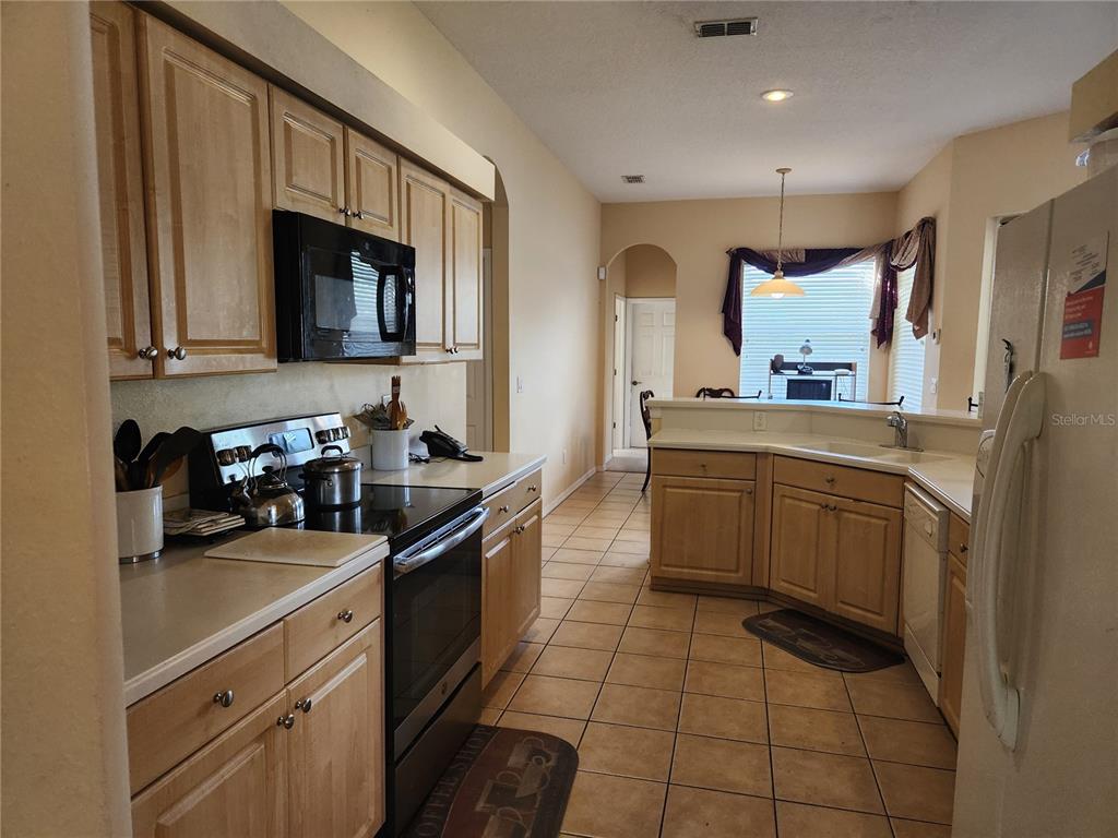 1629 CANOE DRIVE, LUTZ, FL — photo 5 of 13