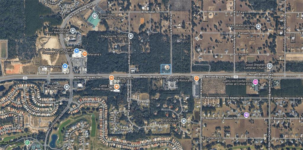 161 W NORVELL BRYANT HIGHWAY, HERNANDO, FL — photo 2 of 30