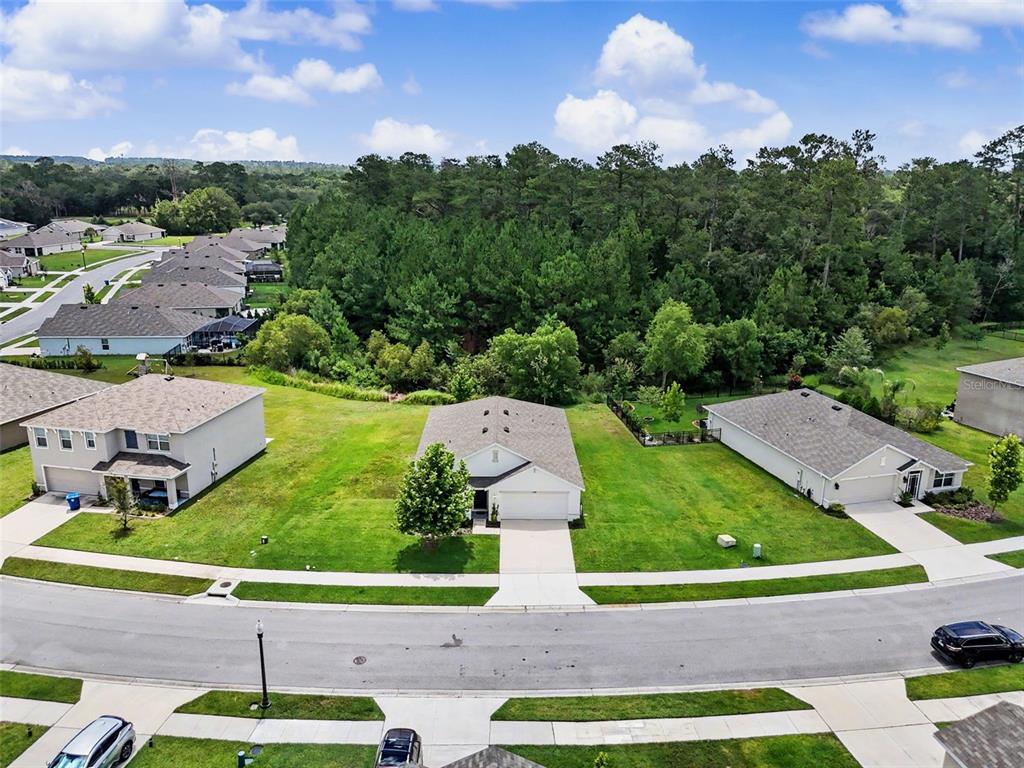 An aerial view shows three suburban houses with driveways and lawns bordering a dense forest — 5038 CADIZ COURT, BROOKSVILLE, FL