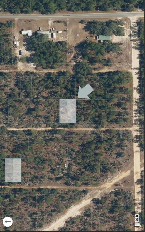 XX PINE WAY, INTERLACHEN, FL — photo 3 of 6