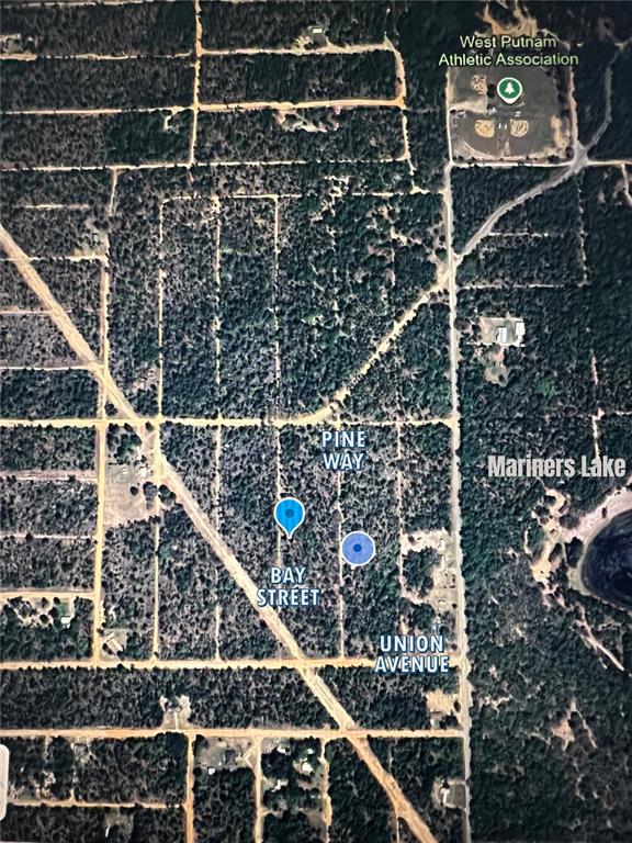XX PINE WAY, INTERLACHEN, FL — photo 5 of 6