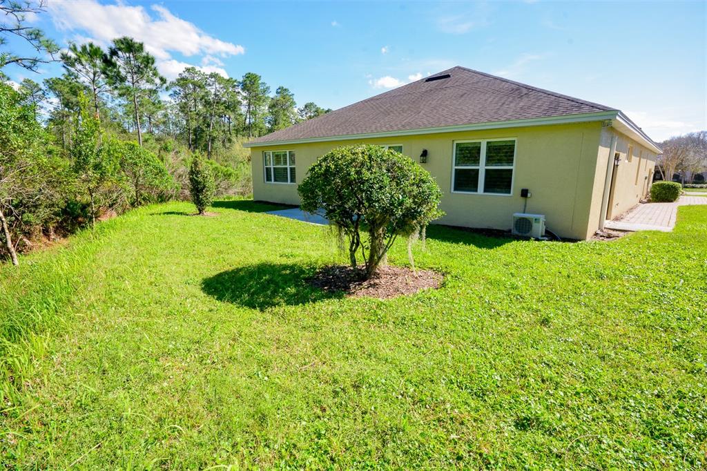 The backyard of a single-story house features a small tree and a grassy lawn — 215 AVENHAM DRIVE, DELAND, FL