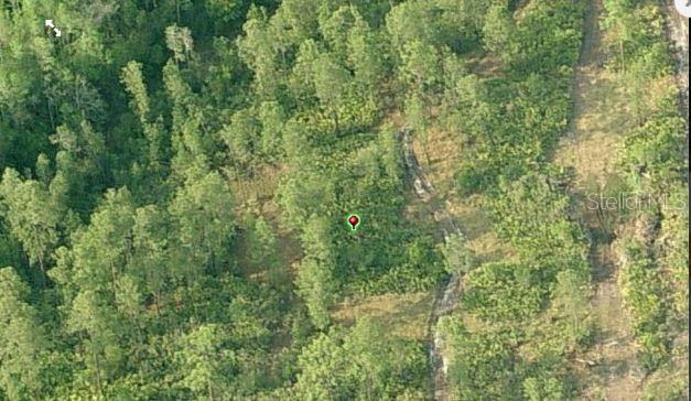 An aerial view shows a wooded lot with a red location pin and a dirt path — FORT CHRISTMAS ROAD, ORLANDO, FL