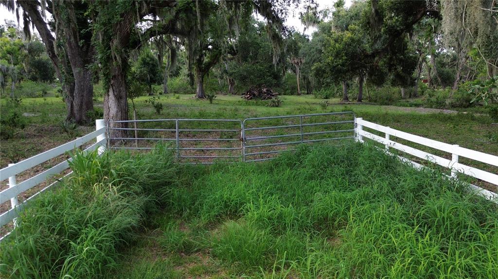 A metal gate connects white wooden fencing in a grassy, tree-filled outdoor area — 10900 OLD TAMPA ROAD, PARRISH, FL
