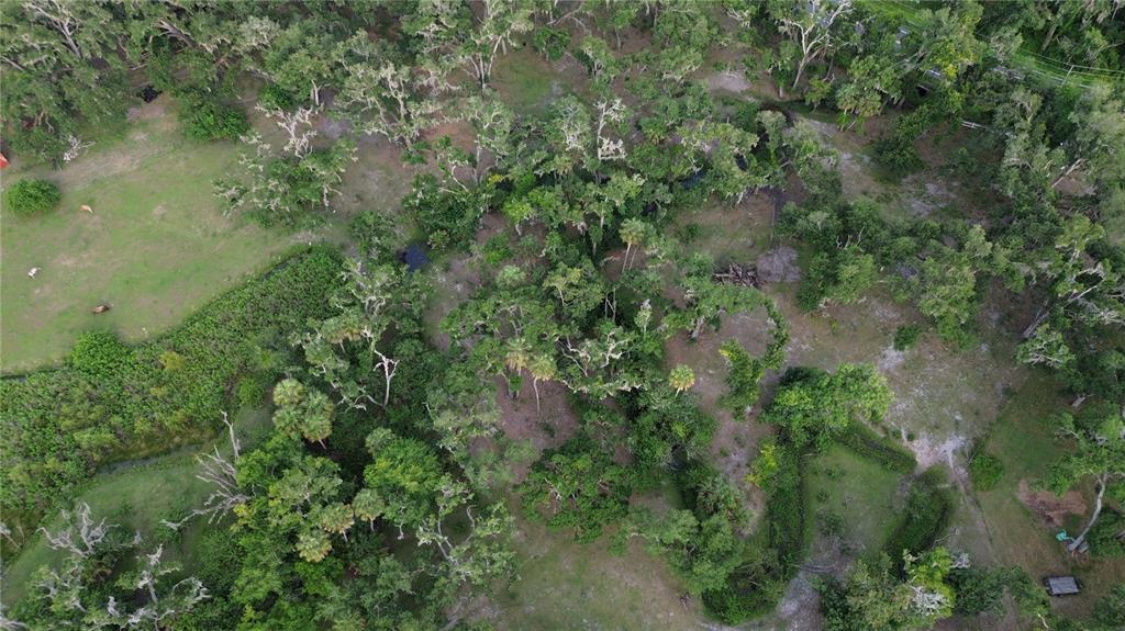 An aerial view shows a wooded lot with scattered trees, grassy areas, and dense vegetation — 10900 OLD TAMPA ROAD, PARRISH, FL