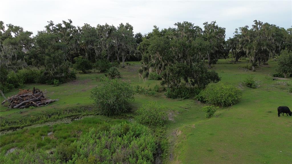 An aerial view of a grassy pasture with scattered trees, a pond, and a cow — 10900 OLD TAMPA ROAD, PARRISH, FL