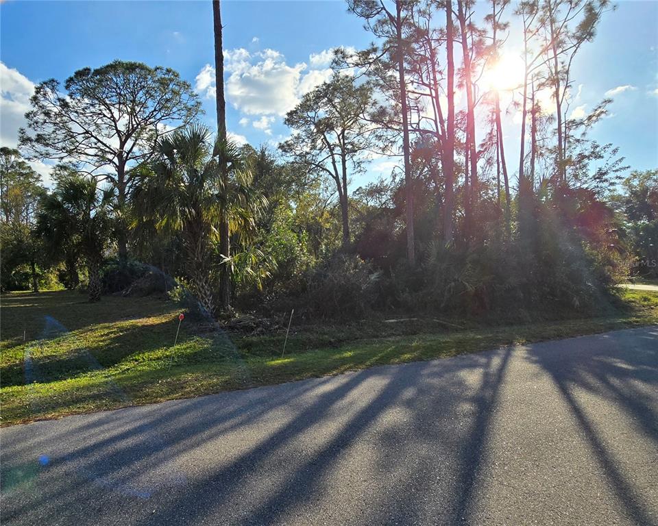 A vacant, wooded residential lot sits beside a paved road under a bright sun — SYLVANIA AVENUE, NORTH PORT, FL