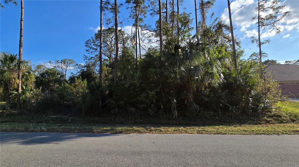 A vacant, wooded residential lot is bordered by a paved road and neighboring houses — SYLVANIA AVENUE, NORTH PORT, FL