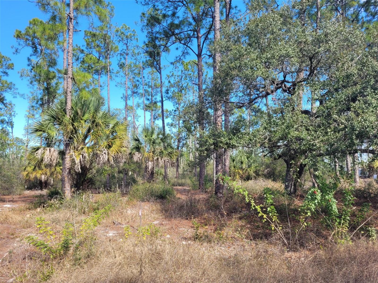 7620 19th PL Wheeler, La Belle FL 33935
