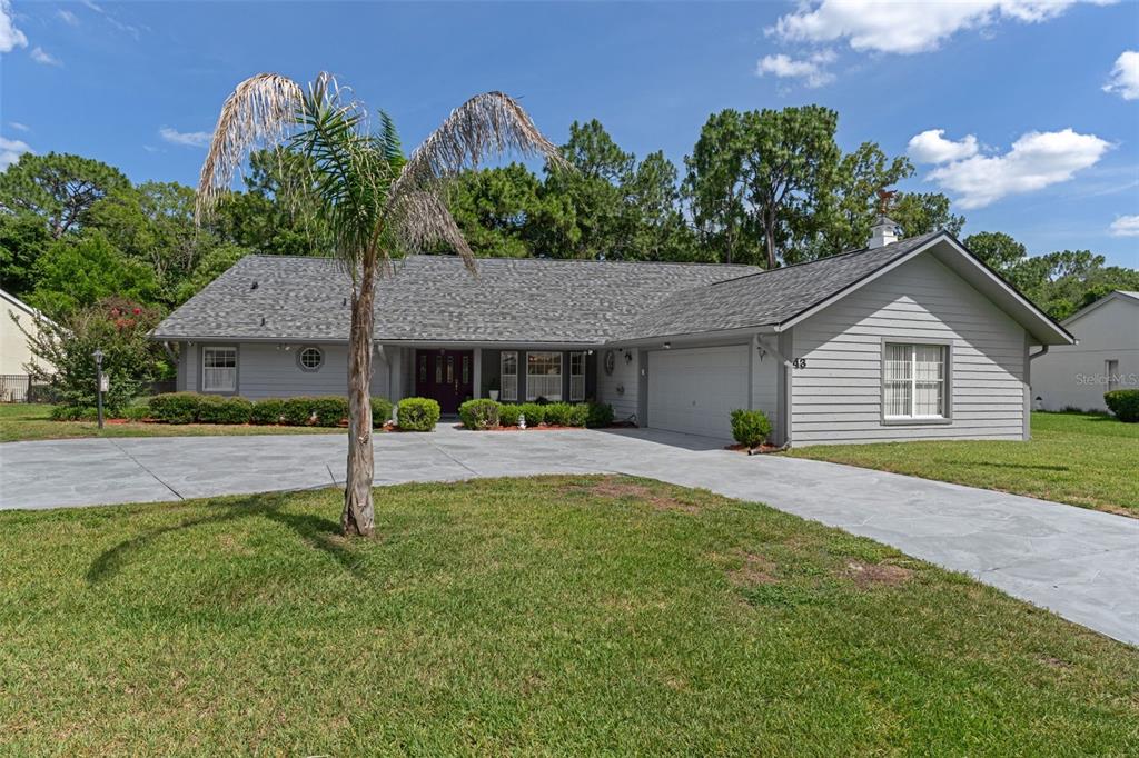 A gray single-story house with a large concrete driveway and a palm tree in front — 43 LINDER CIRCLE, HOMOSASSA, FL