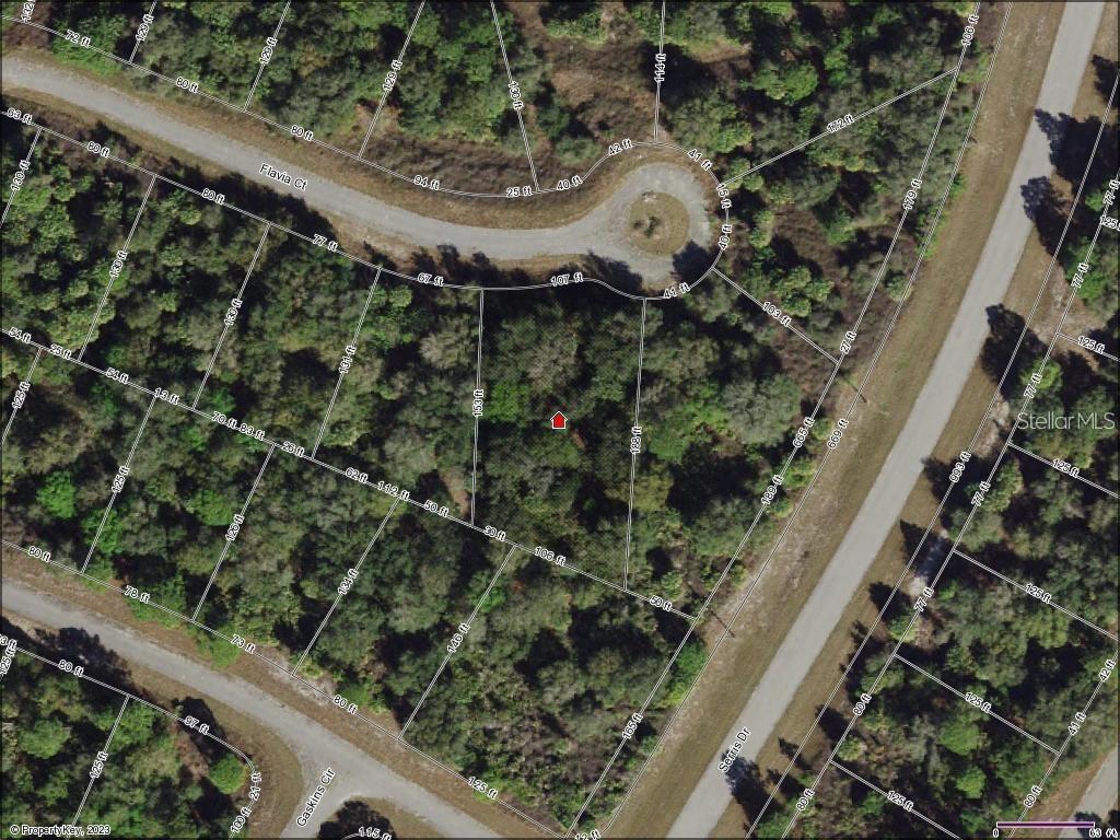 This is a satellite map showing a vacant, wooded residential lot with property boundary lines — FLAVIA COURT, NORTH PORT, FL