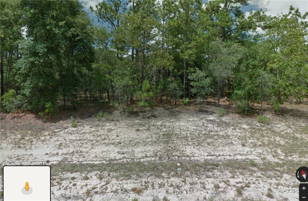 A vacant, sandy lot is bordered by a dense forest of pine and hardwood trees — 1581 W THUMPER DRIVE, CITRUS SPRINGS, FL