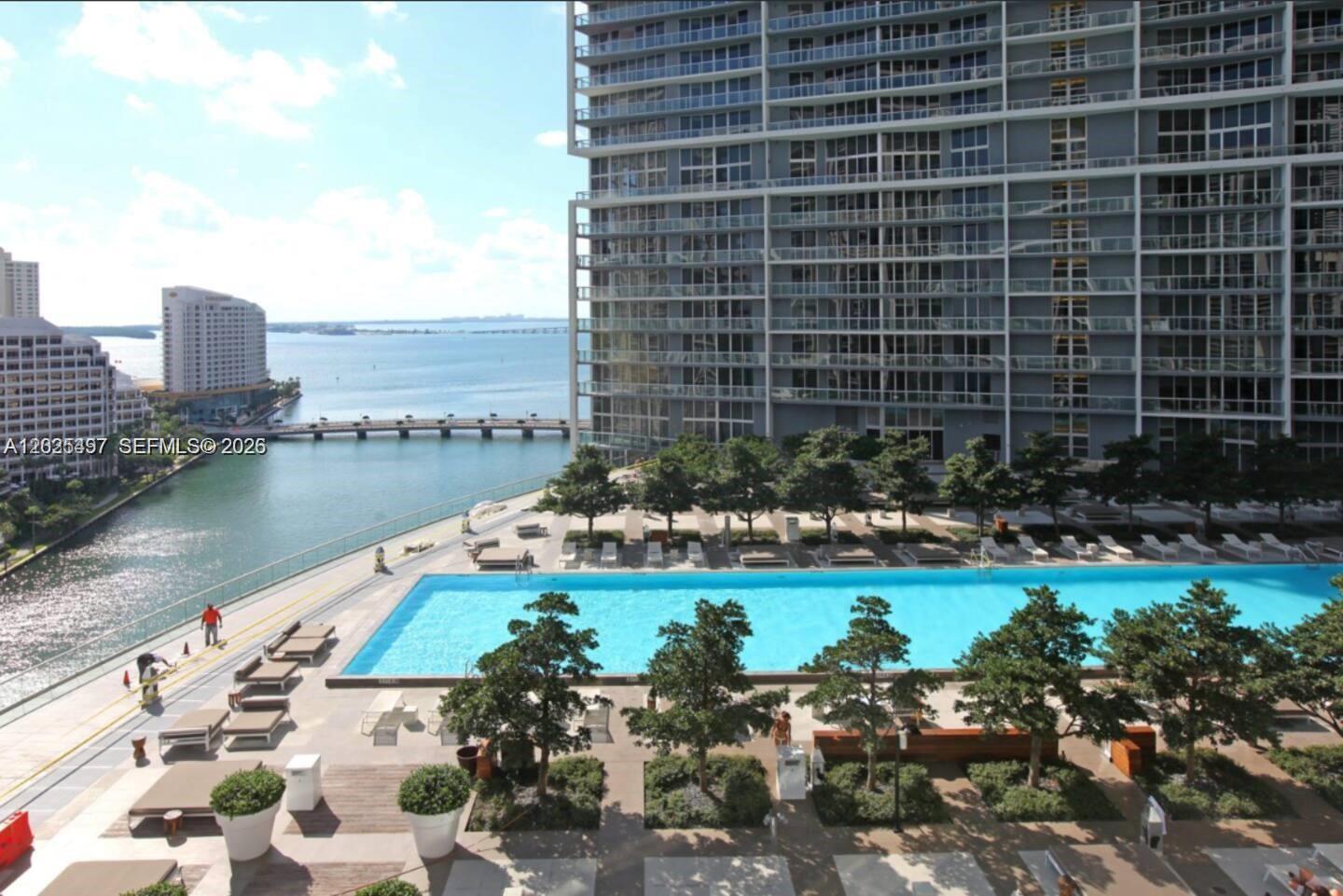 An elevated view of a rectangular swimming pool surrounded by trees and lounge chairs — 485 Brickell Ave # 2006, Miami FL 33131, MIAMI, FL