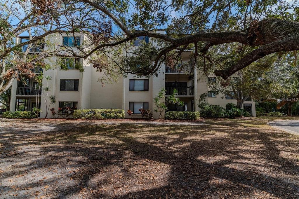 A multi-story apartment building with balconies stands behind a large tree and grassy lawn — 700 STARKEY ROAD UNIT 1114, LARGO, FL