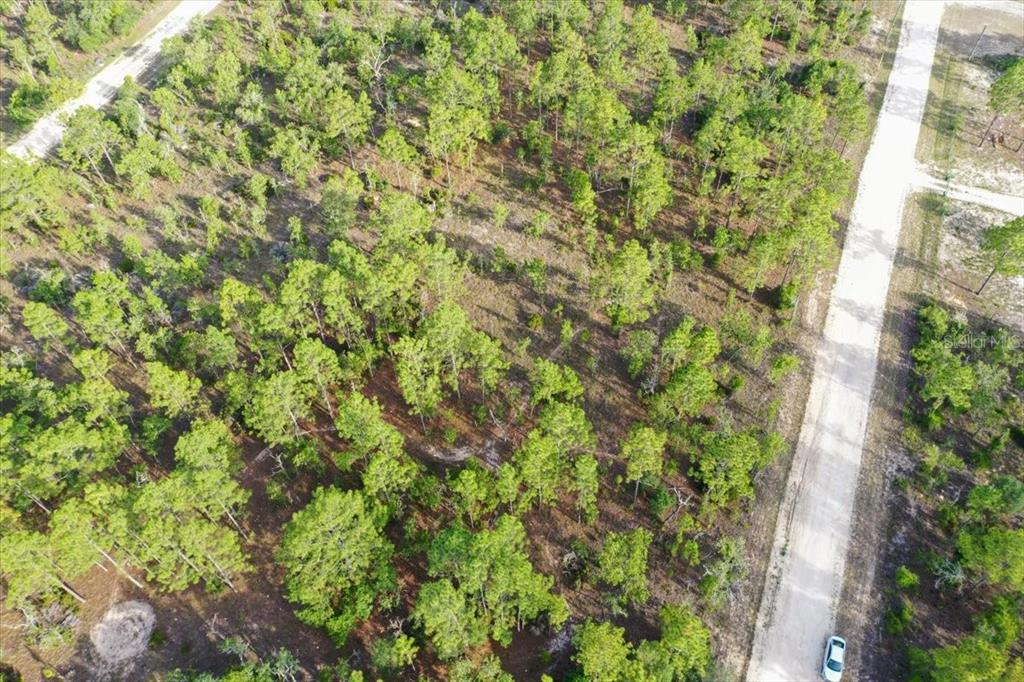 An aerial view shows a wooded lot adjacent to a dirt road with a car — 0000 NE 131 LOT 8 TERRACE, WILLISTON, FL