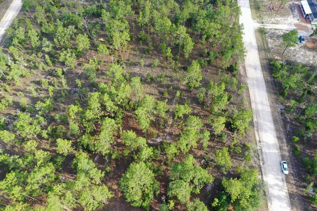 An aerial view shows a wooded, undeveloped lot adjacent to a dirt road — 0000 NE 131 LOT 8 TERRACE, WILLISTON, FL