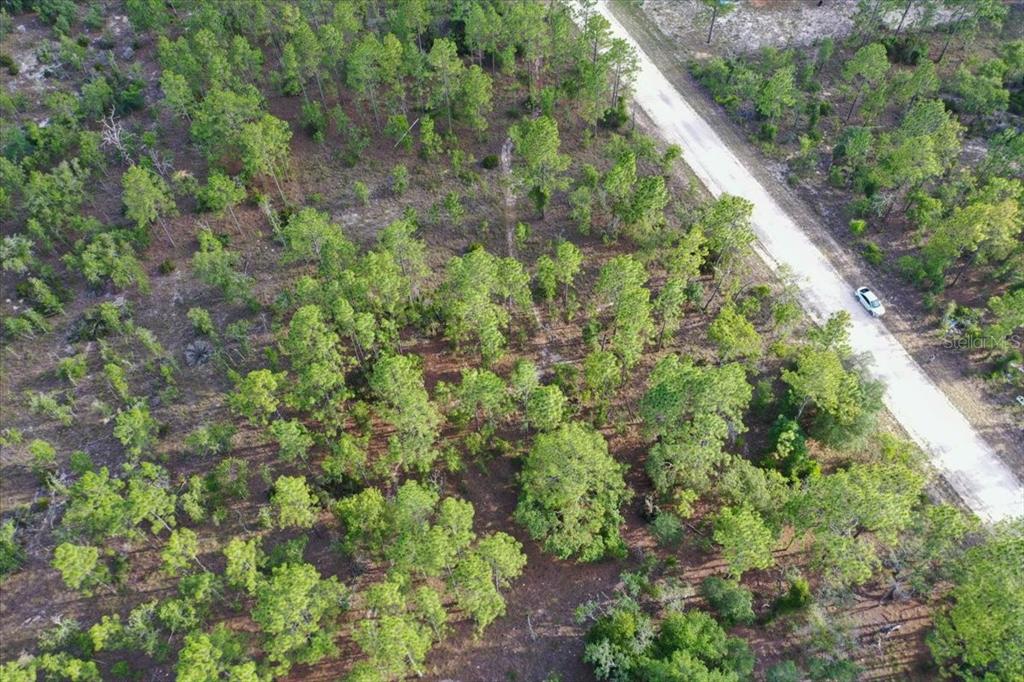 An aerial view shows a wooded lot adjacent to a dirt road with a car — 0000 NE 131 LOT 8 TERRACE, WILLISTON, FL