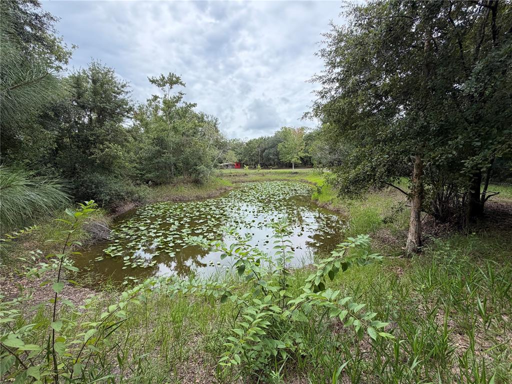 A screened-in porch with a concrete floor, white ceiling, and views of a wooded yard — 14150 HIGHLAND ROAD, WIMAUMA, FL