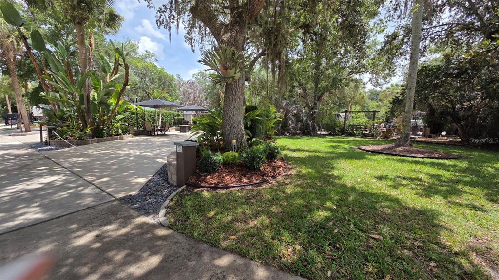 A landscaped yard features a concrete patio, a large tree, and mature tropical plants — 233 STALLION LANE, RIVER RANCH, FL