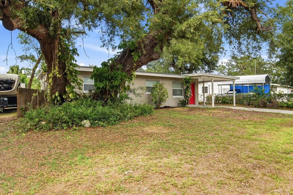 A single-story house with a red front door sits behind a large tree — 7506 CORAL VINE LANE, TAMPA, FL