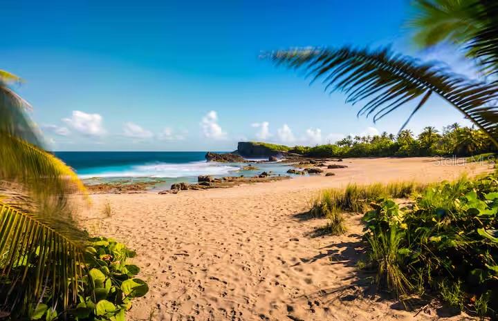 A sandy beach leads to a rocky coastline with palm trees under a clear blue sky — PR 681 KM 11.7 ISLOTE WARD, ARECIBO, PR