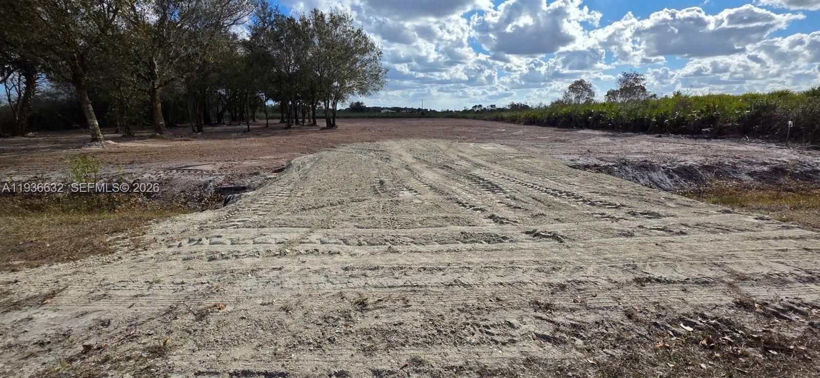 A dirt driveway leads to a cleared, undeveloped lot with trees in the background — 19946 NW 254 st, Okeechobee FL 34972, OKEECHOBEE, FL