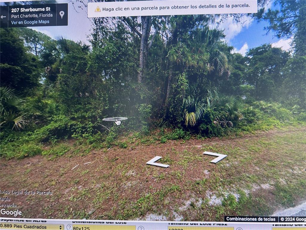 This is a street-level view of a heavily wooded, undeveloped residential lot — 206 SHERBOURNE STREET, PORT CHARLOTTE, FL