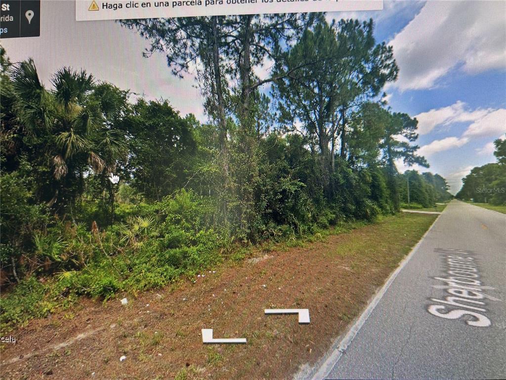 A view of a wooded, undeveloped lot along a paved road — 206 SHERBOURNE STREET, PORT CHARLOTTE, FL