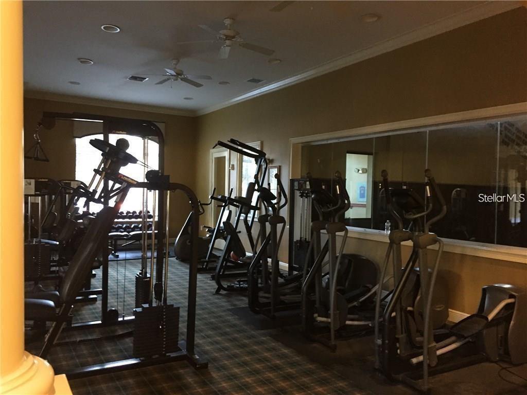 This gym features exercise equipment, a large wall mirror, and a plaid carpeted floor — 10105 COURTNEY OAKS CIRCLE UNIT 304, TAMPA, FL