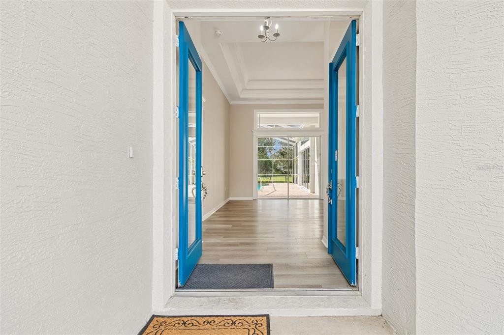 A view through open blue double doors into a foyer with light wood-look flooring — 35841 MIDDEN PATH, ZEPHYRHILLS, FL