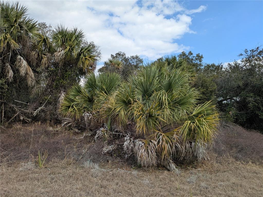 CASCO CIRCLE, NORTH PORT, FL — photo 2 of 9