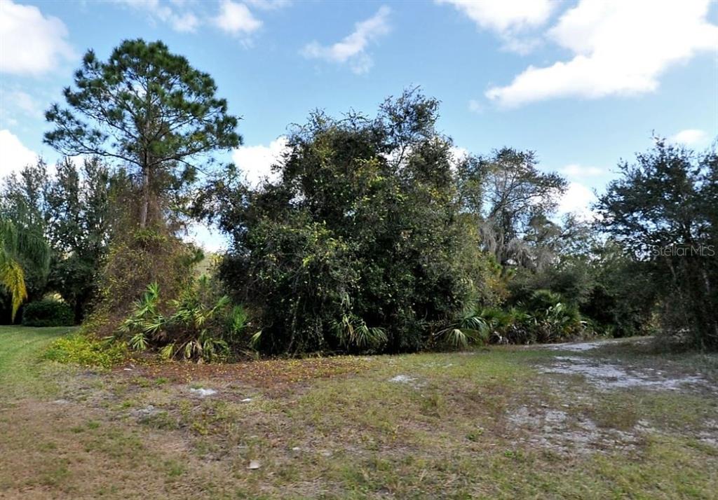 A grassy, partially cleared lot features a large pine tree and dense surrounding vegetation — JOLLIVETTE ROAD, NORTH PORT, FL