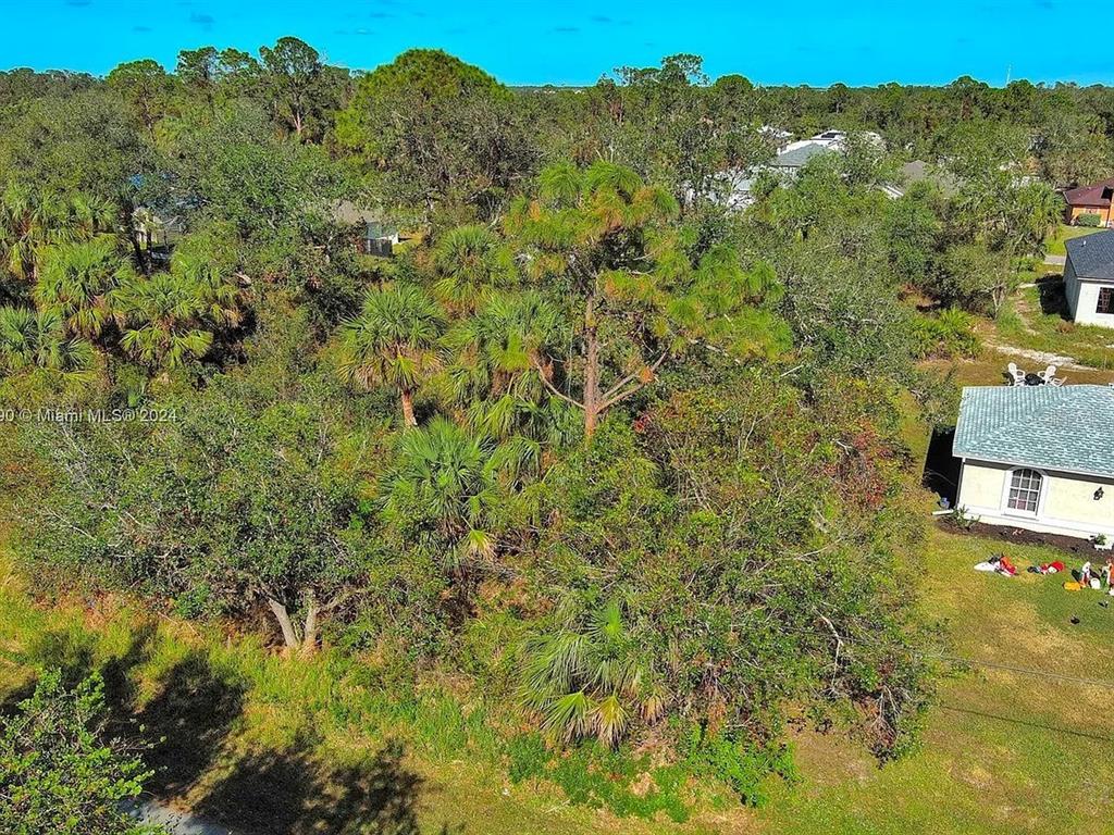An aerial view shows a densely wooded residential lot next to a single-story house — SARGON AVENUE, NORTH PORT, FL