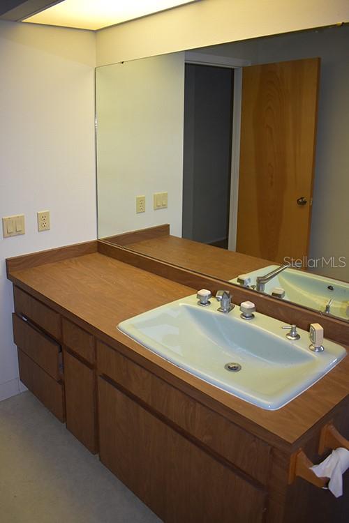 A bathroom vanity features a light-colored sink, wood-grain cabinets, and a large wall mirror — 147 HOURGLASS DRIVE, VENICE, FL