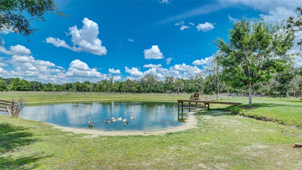 A small pond with ducks and a wooden dock sits in a grassy field — 560 OAKFORD ROAD, SARASOTA, FL