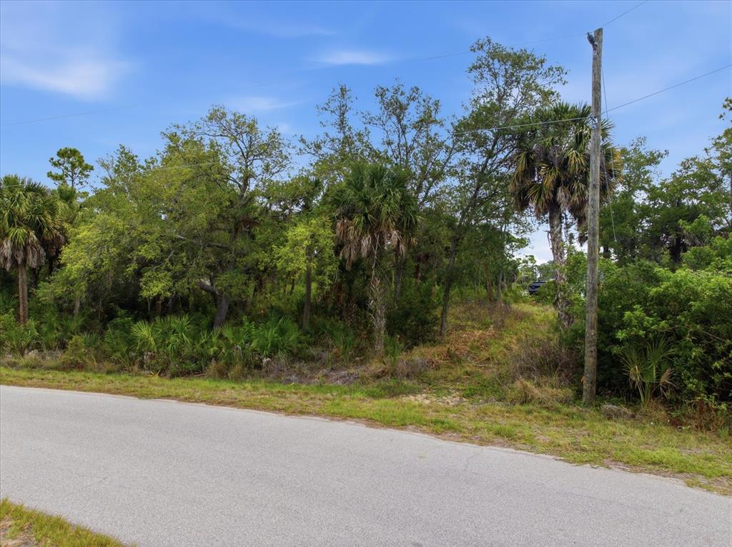 A paved road runs alongside a wooded lot featuring various trees and palm plants — 554 MCDILL DRIVE, PORT CHARLOTTE, FL