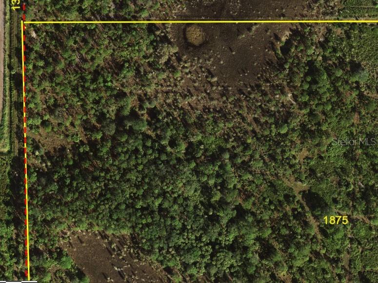 An aerial view shows a wooded, undeveloped plot of land with yellow property boundary lines — 5151 CHIQUITA DRIVE, PUNTA GORDA, FL